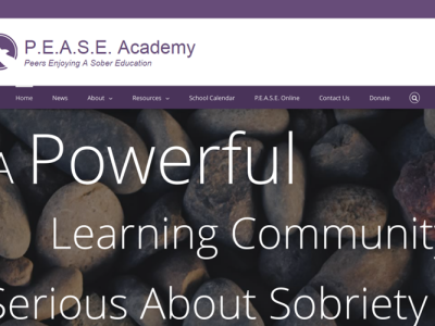 P.E.A.S.E. Academy<hr>responsive design<br>wordpress